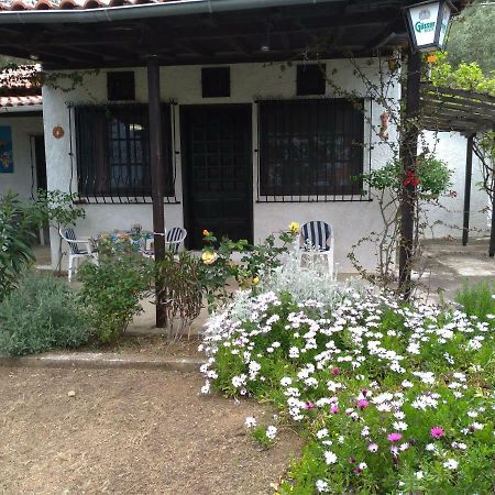 Persefoni House Villa Áfissos Dış mekan fotoğraf
