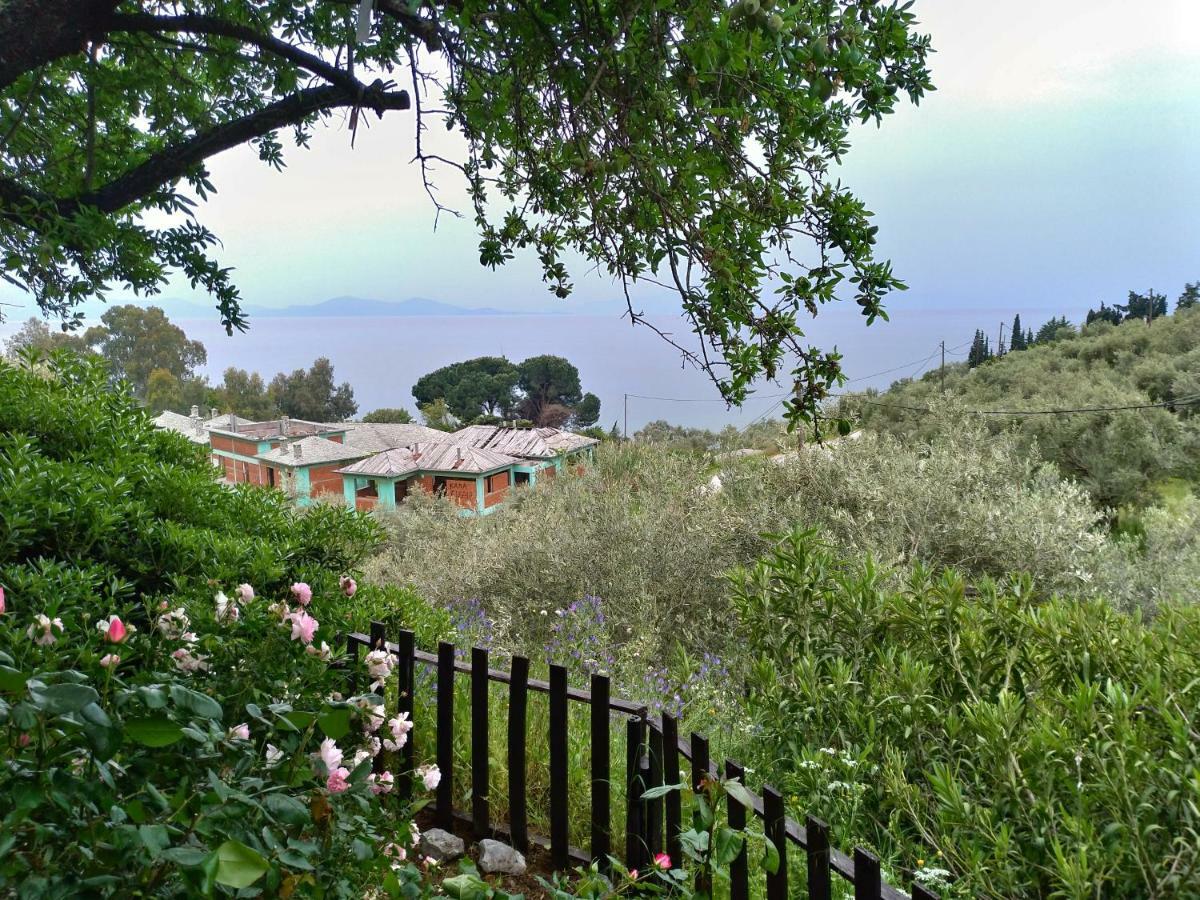 Persefoni House Villa Áfissos Dış mekan fotoğraf