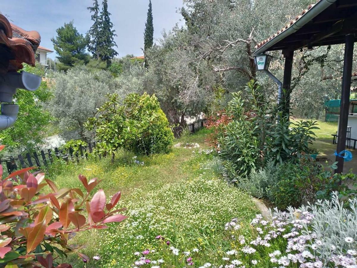 Persefoni House Villa Áfissos Dış mekan fotoğraf