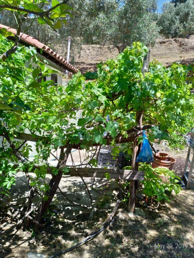 Persefoni House Villa Áfissos Dış mekan fotoğraf